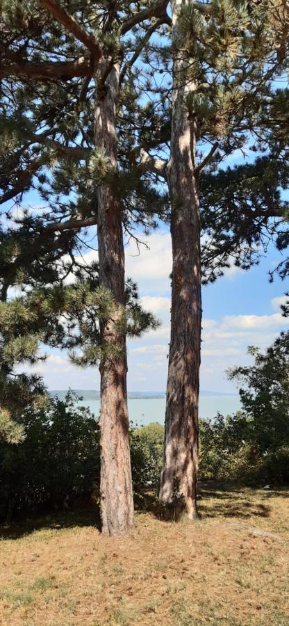 Rita Apartman Siófok Esterno foto